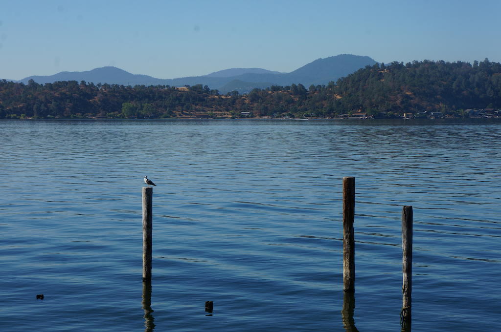 Lake Marina Inn Clearlake Oaks Buitenkant foto